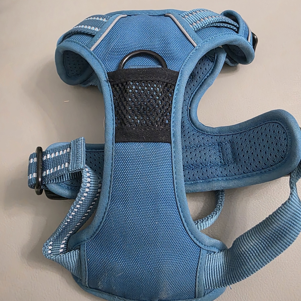 Blue Dog Harness